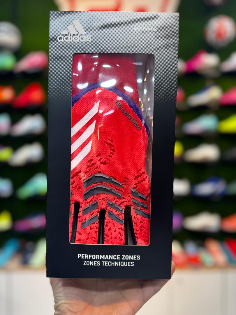 GANT PREDATOR 2